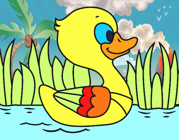 Patito de río