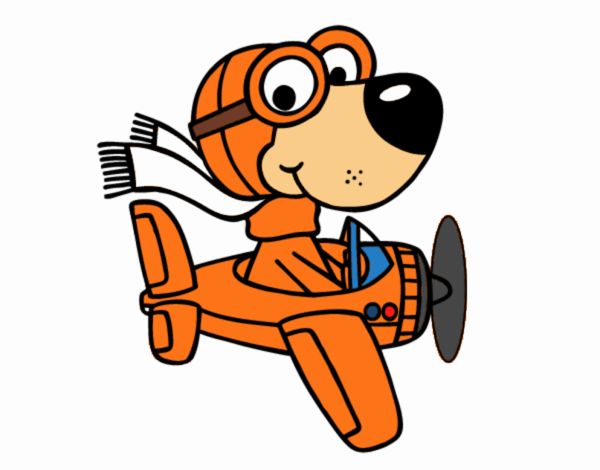 Perro piloto