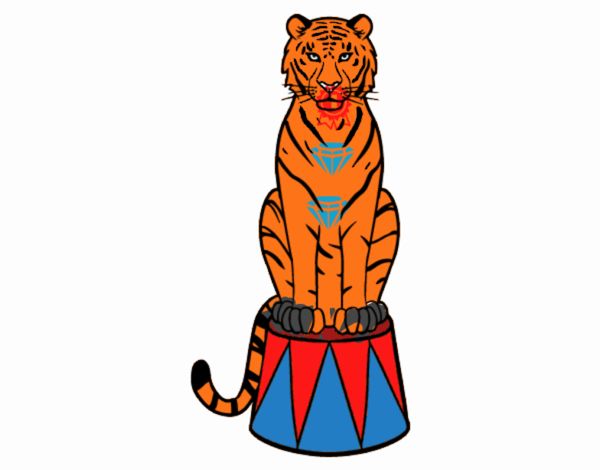 Tigre de circo