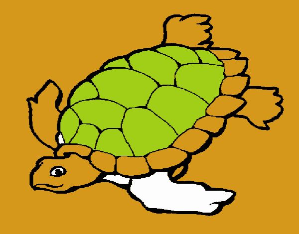 Tortuga