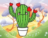 Cactus corazón