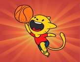 Gato jugando a baloncesto