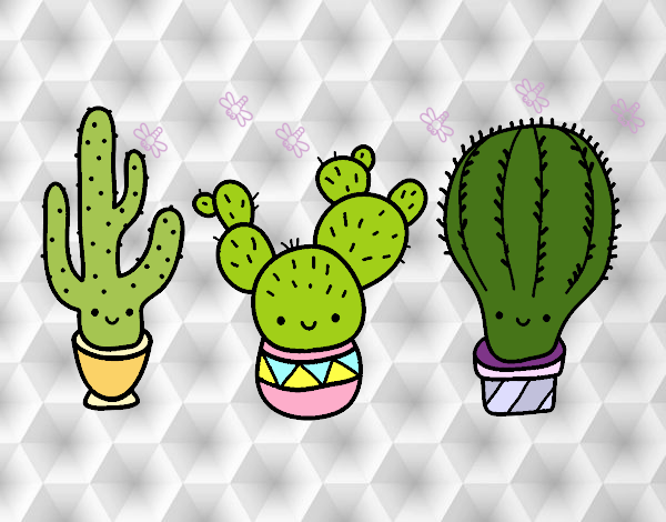 3 mini cactus