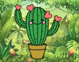 Cactus corazón