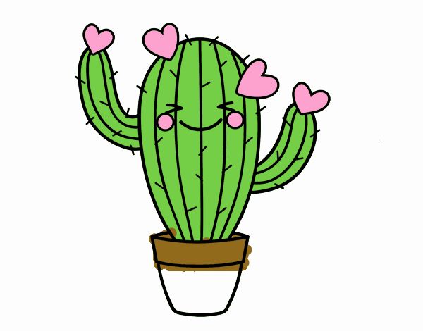 Cactus corazón