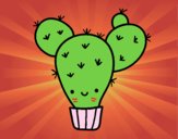 Cactus nopal