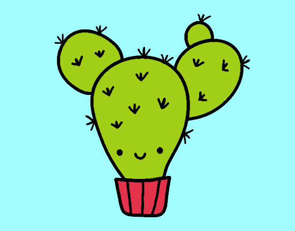 Cactus nopal