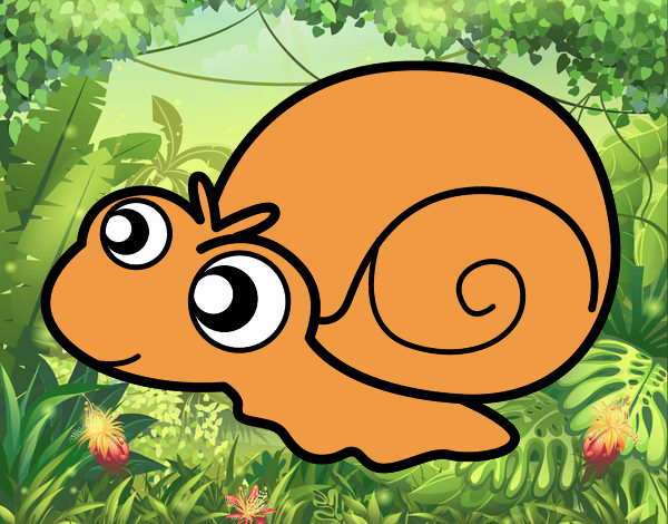 Caracol bebé