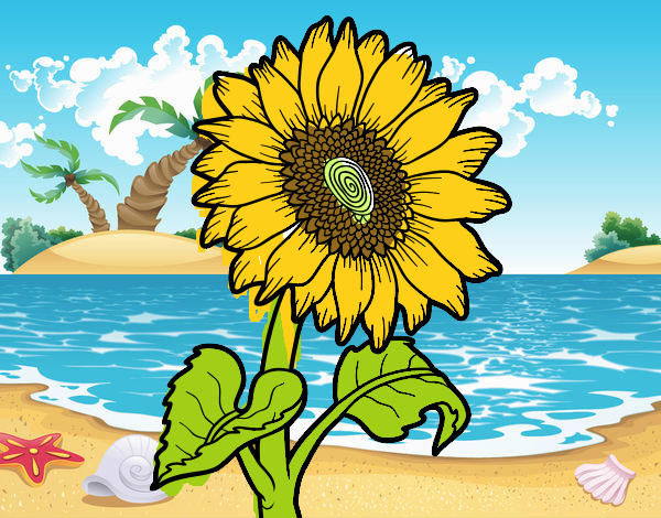 girasol en la playa