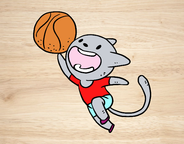 Gato jugando a baloncesto