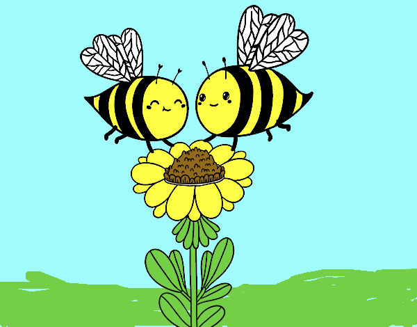 Pareja de abejas