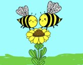 Pareja de abejas