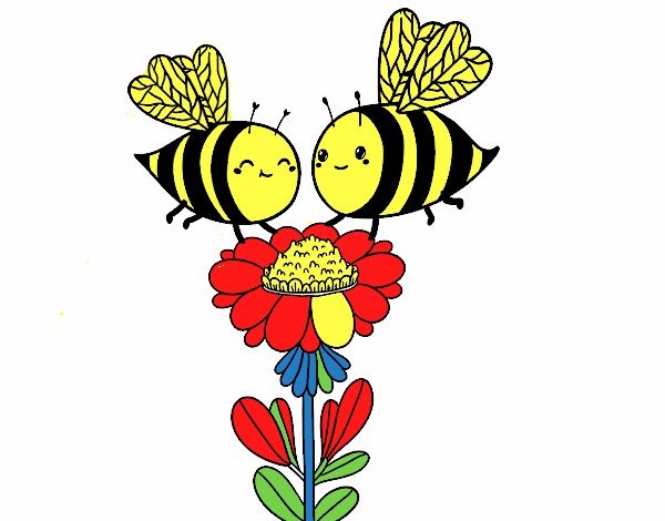 Pareja de abejas