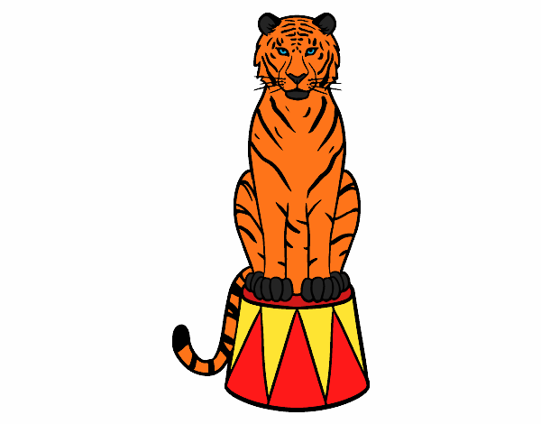 Tigre de circo