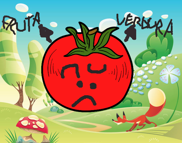 TOMATE ES FRUTA Y VEGETAL