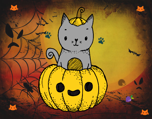 Un gatito de Halloween