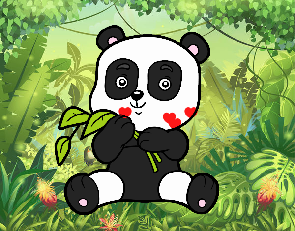 Un oso panda