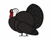 Un pavo