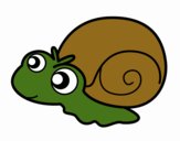 Caracol bebé