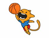 Gato jugando a baloncesto