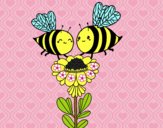 Pareja de abejas