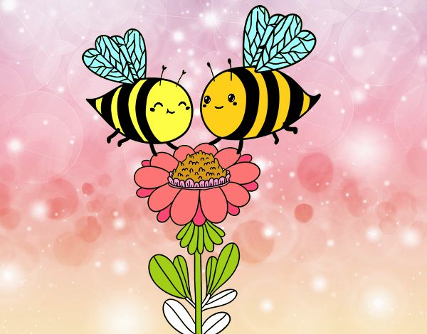 Pareja de abejas