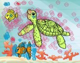 Tortuga de mar con peces