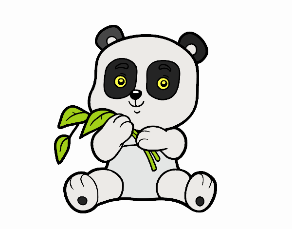 oso panda 