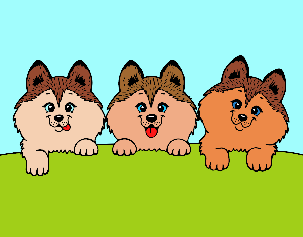 Los tres perritos