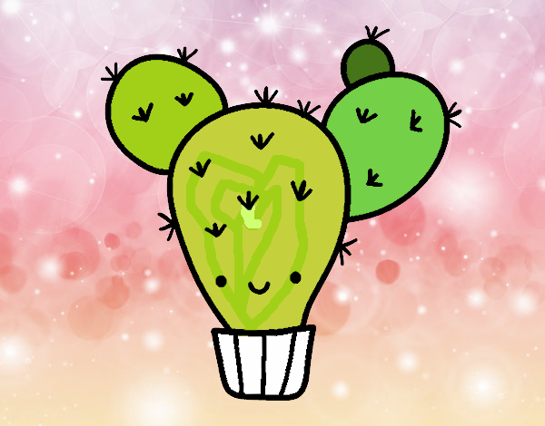 Cactus nopal