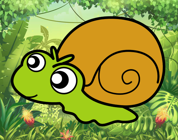 Caracol bebé