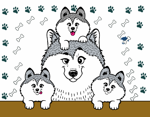 Dibujo de lindos perros dogs huskies pintado por en  el día  02-03-22 a las 23:48:48. Imprime, pinta o colorea tus propios dibujos!