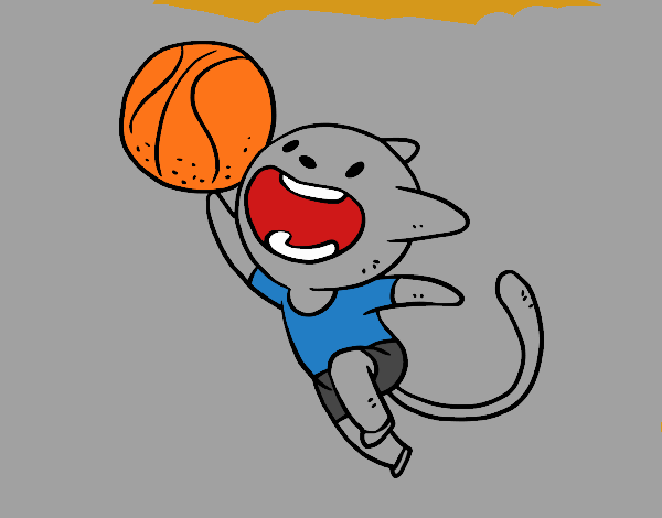 Gato jugando a baloncesto