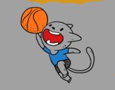 Gato jugando a baloncesto