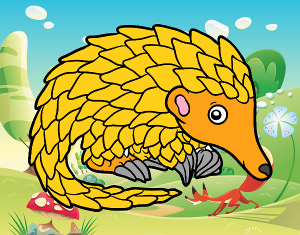 Pangolin