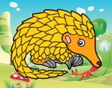 Pangolin