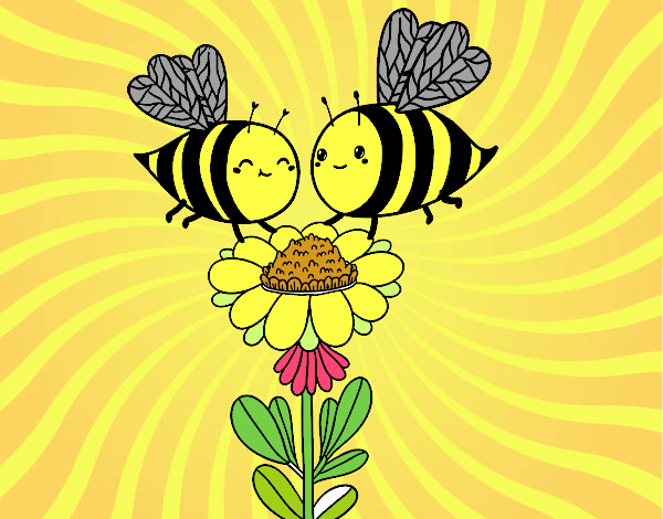 Pareja de abejas