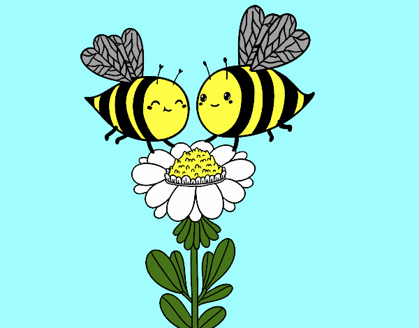 Pareja de abejas