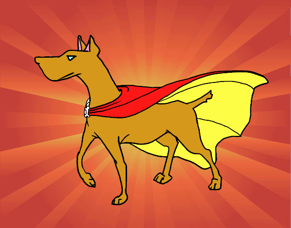 Perro superhéroe