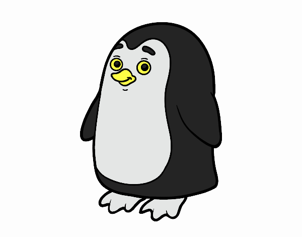 pinguino