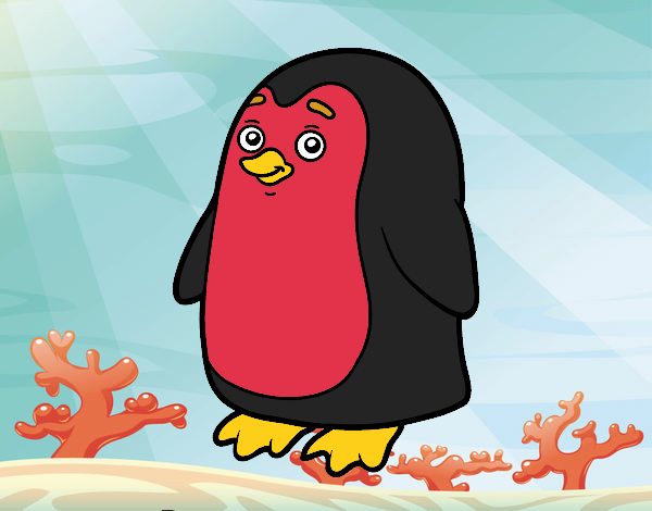 Pingüe rojo