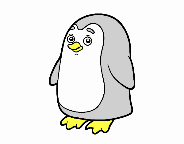 pinguin