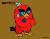 Red de Angry Birds