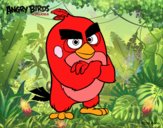 Red de Angry Birds