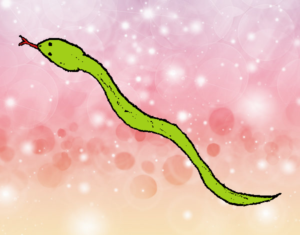 Serpiente venenosa