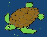 Tortuga