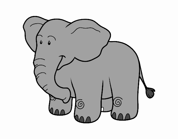 elefante