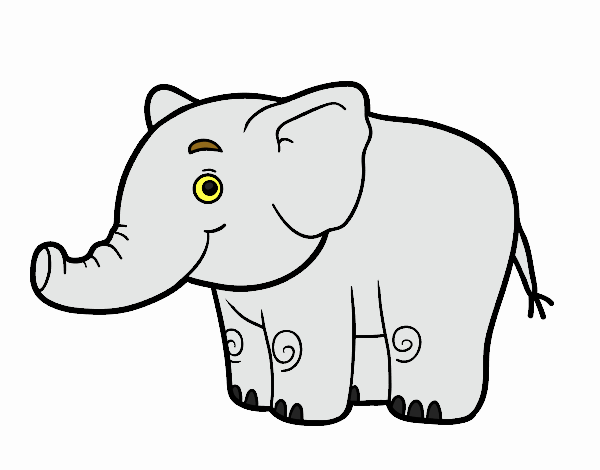 elefante 