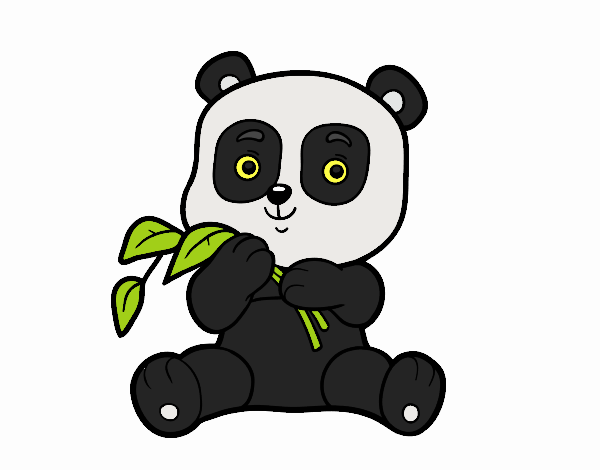 oso panda 