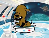 Un perrito en la bañera